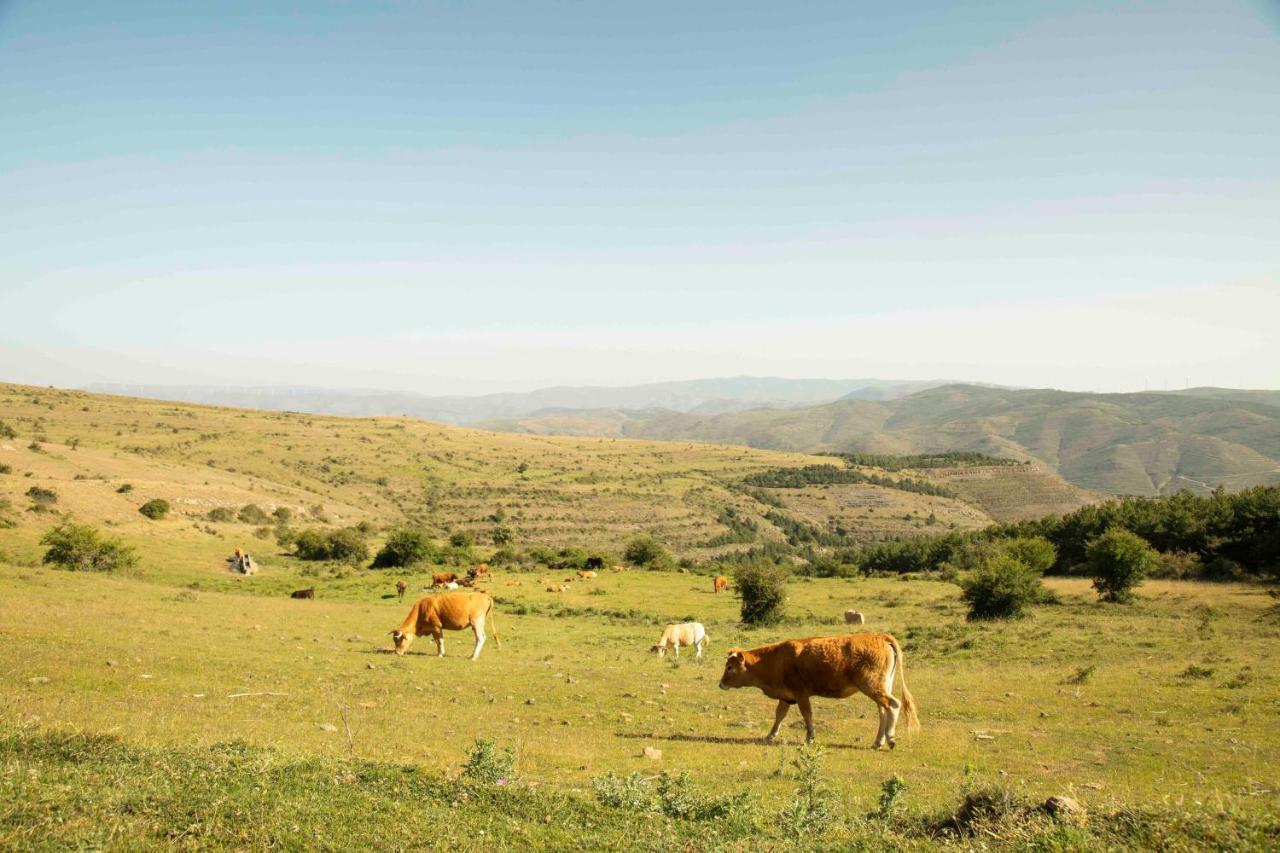 恩西索 Casa Rural El Huerto De La Fragua旅馆 外观 照片