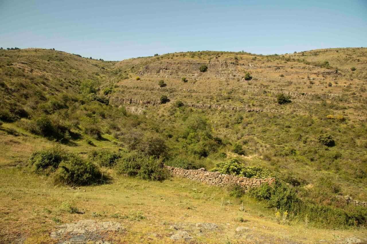 恩西索 Casa Rural El Huerto De La Fragua旅馆 外观 照片